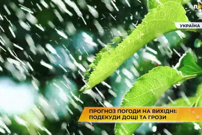 Новини України - 9723c696-5d01-4f44-aa12-881a6ebc3eb0 - зображення